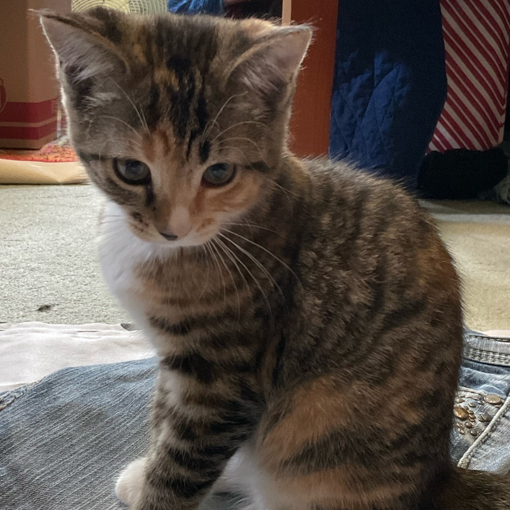 Meet your Posher, Zoe